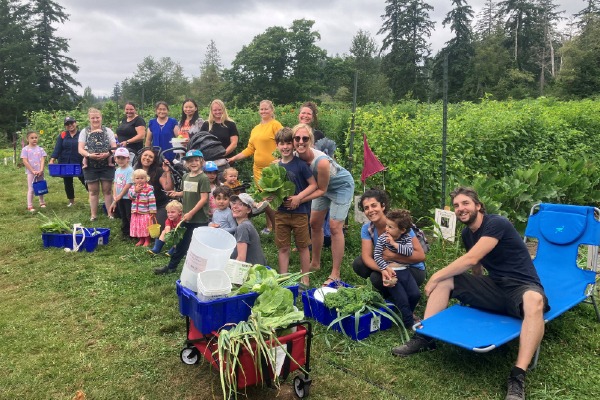 Fresh food and essential grocery support